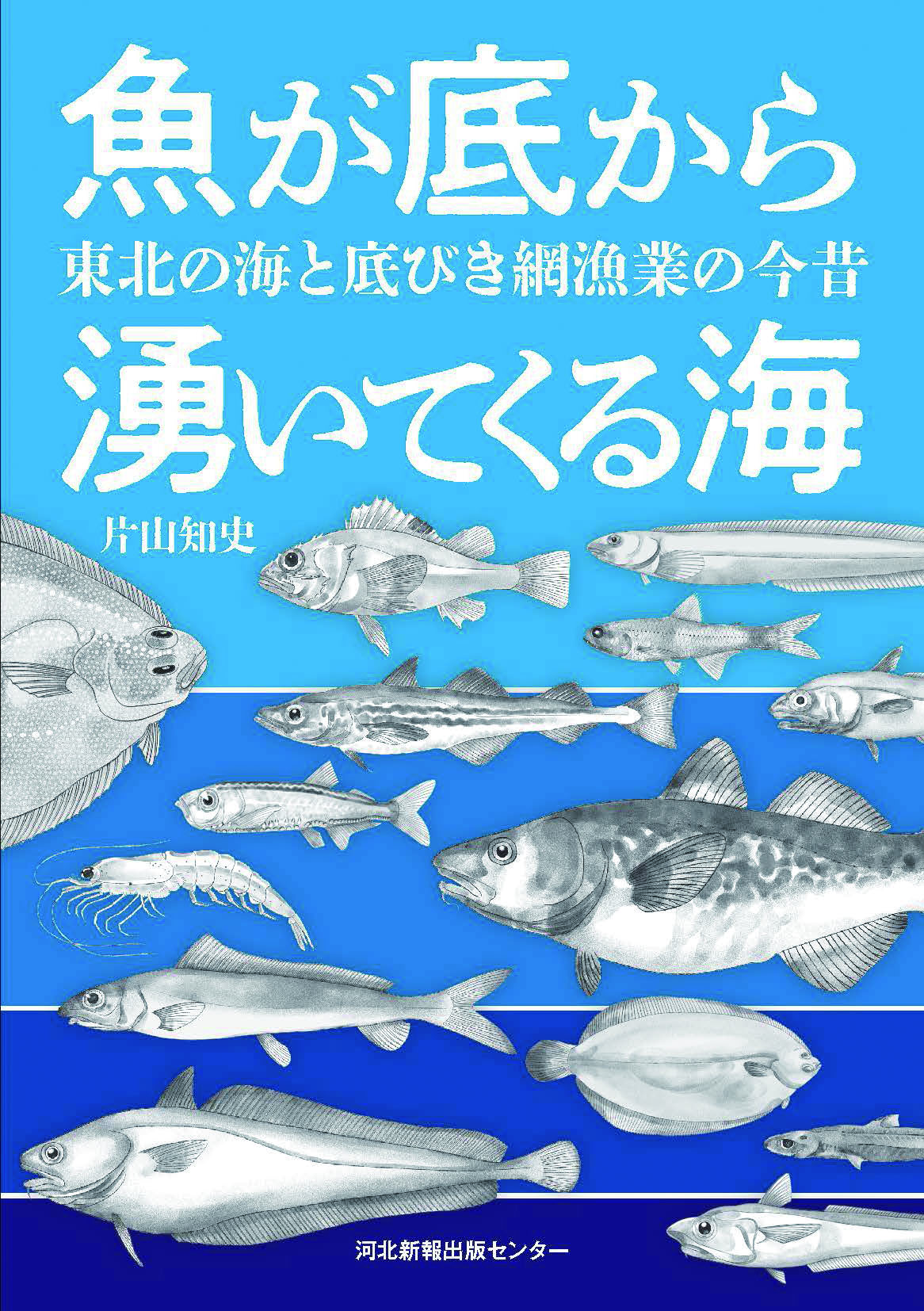 魚が底から湧いてくる海 東北の海と底びき網漁業の今昔 | 河北新報出版